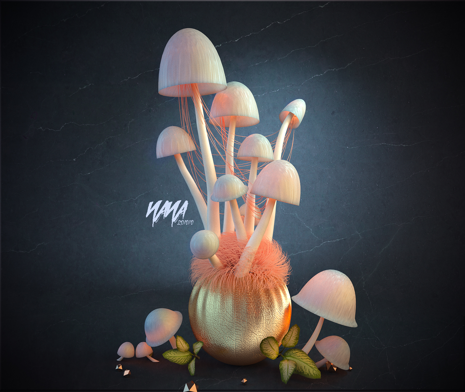 c4d cr-创意金针菇渲染