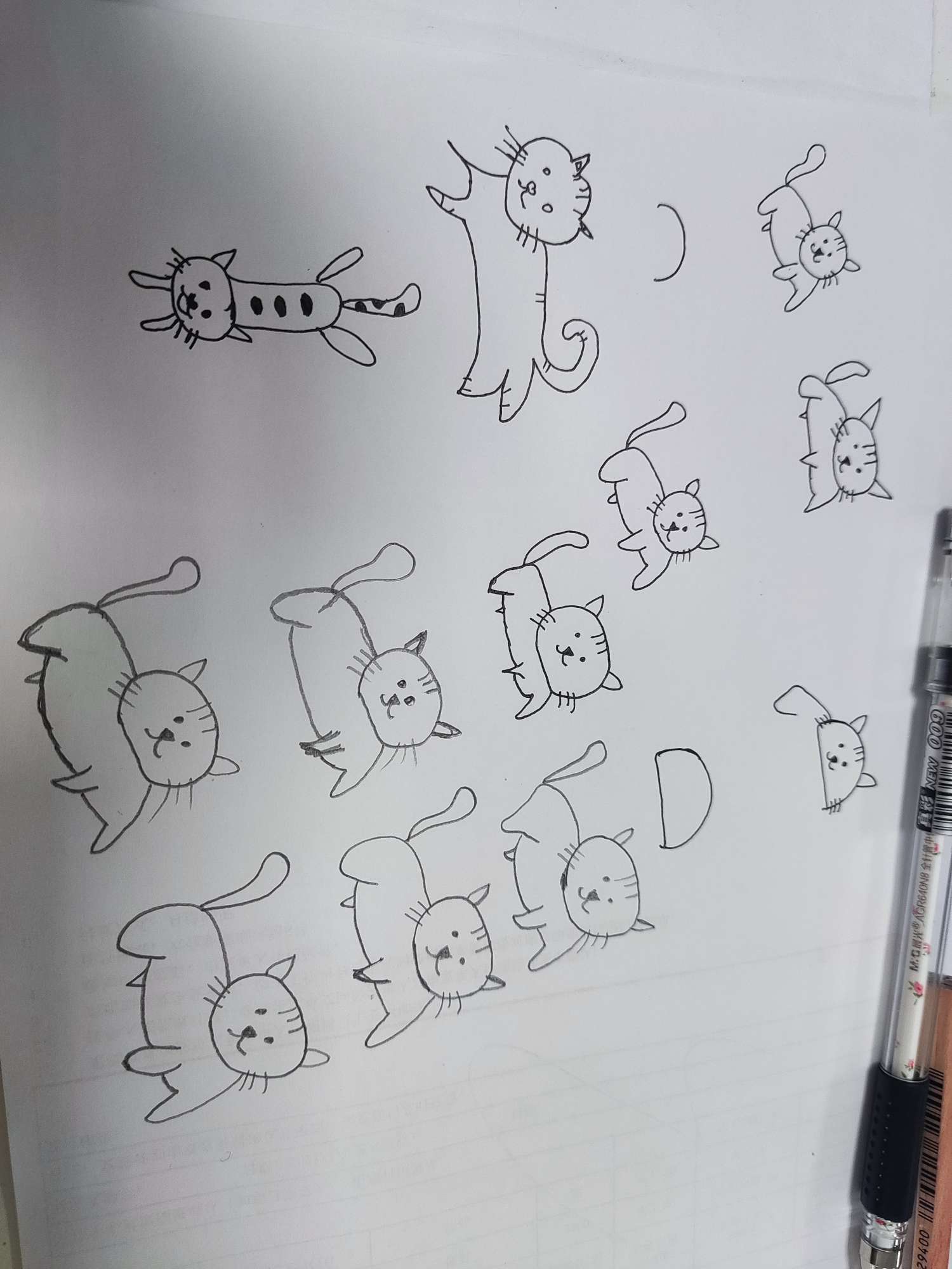 针管笔-简笔画-9分钟学画萌宠猫咪【简笔画万物】