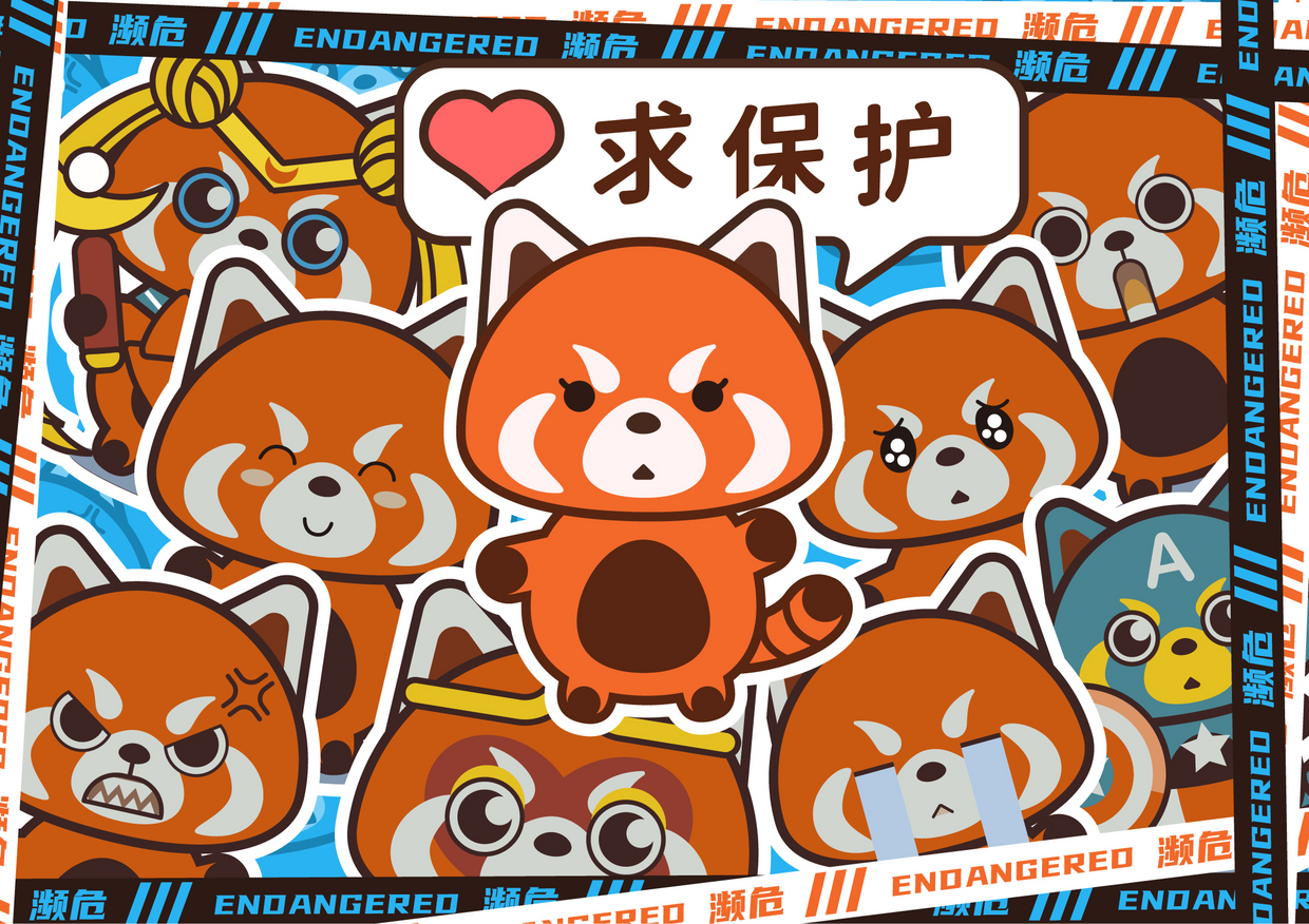 求保护小熊猫