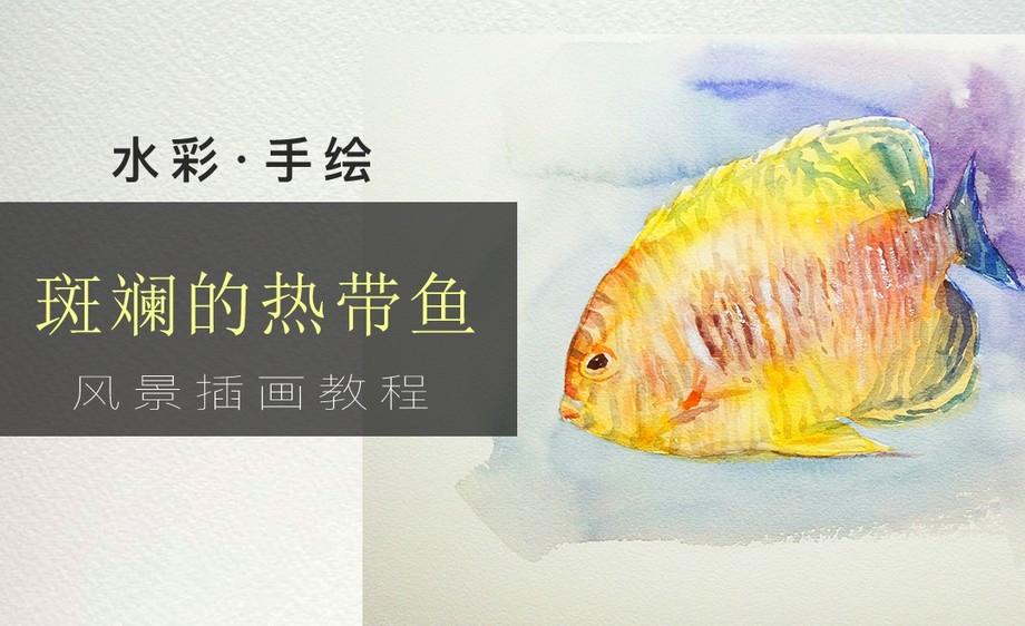 水彩-斑斓热带鱼 - 绘画插画教程 - 虎课网