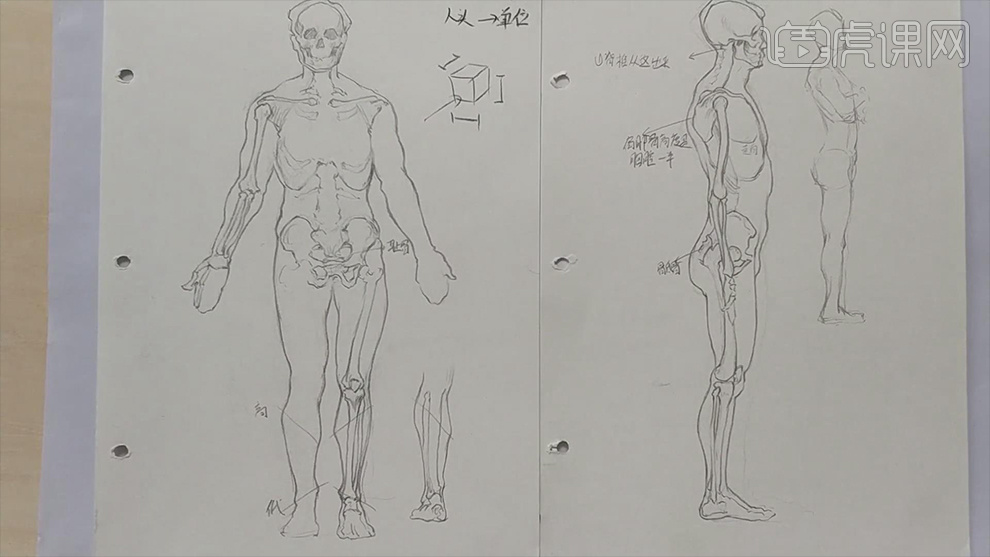 如图正视图,头为1头,下巴到肚脐是2头,盆骨到膝盖围2头,膝盖到鞋底是2