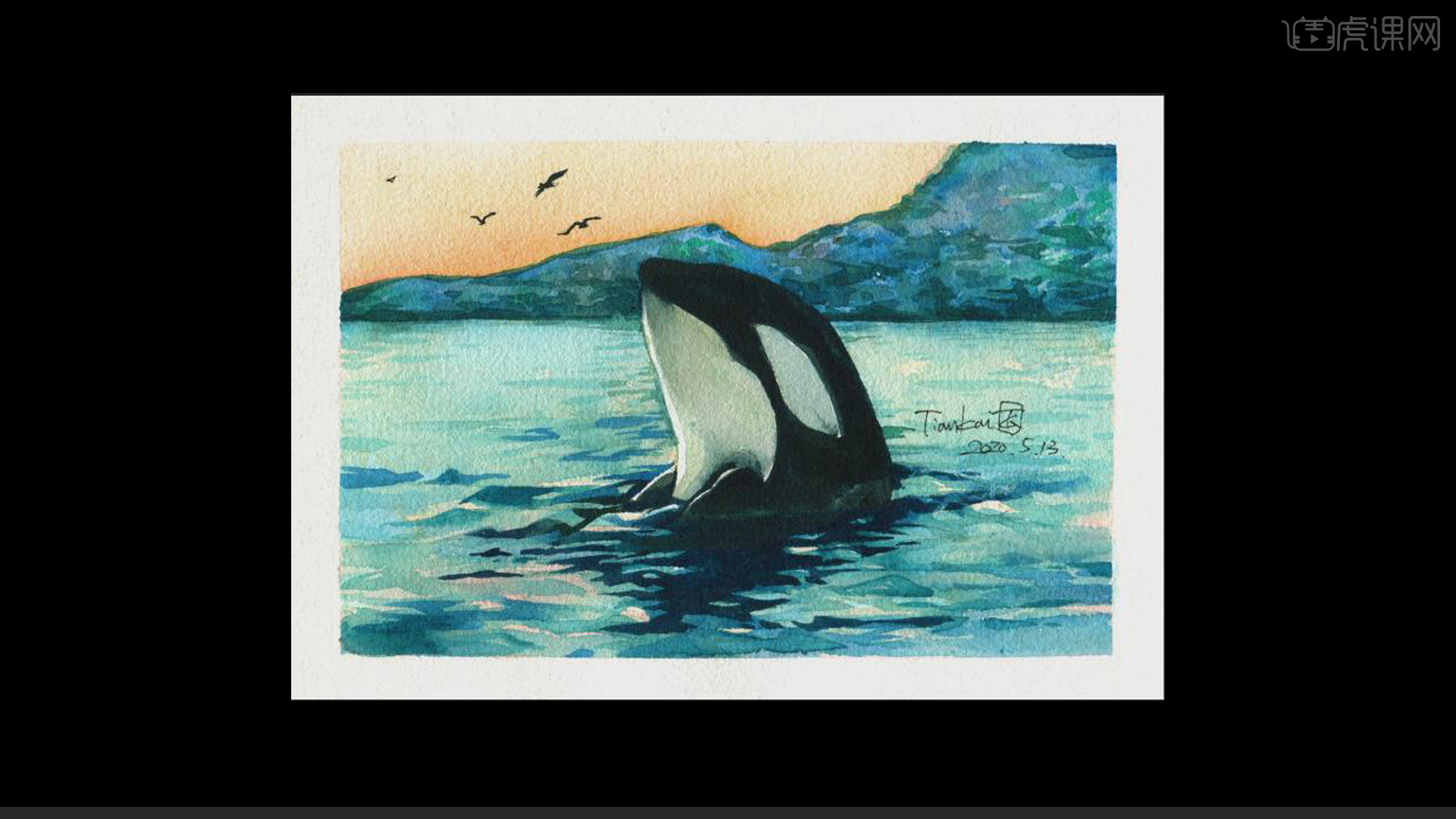 水彩海洋动物虎鲸