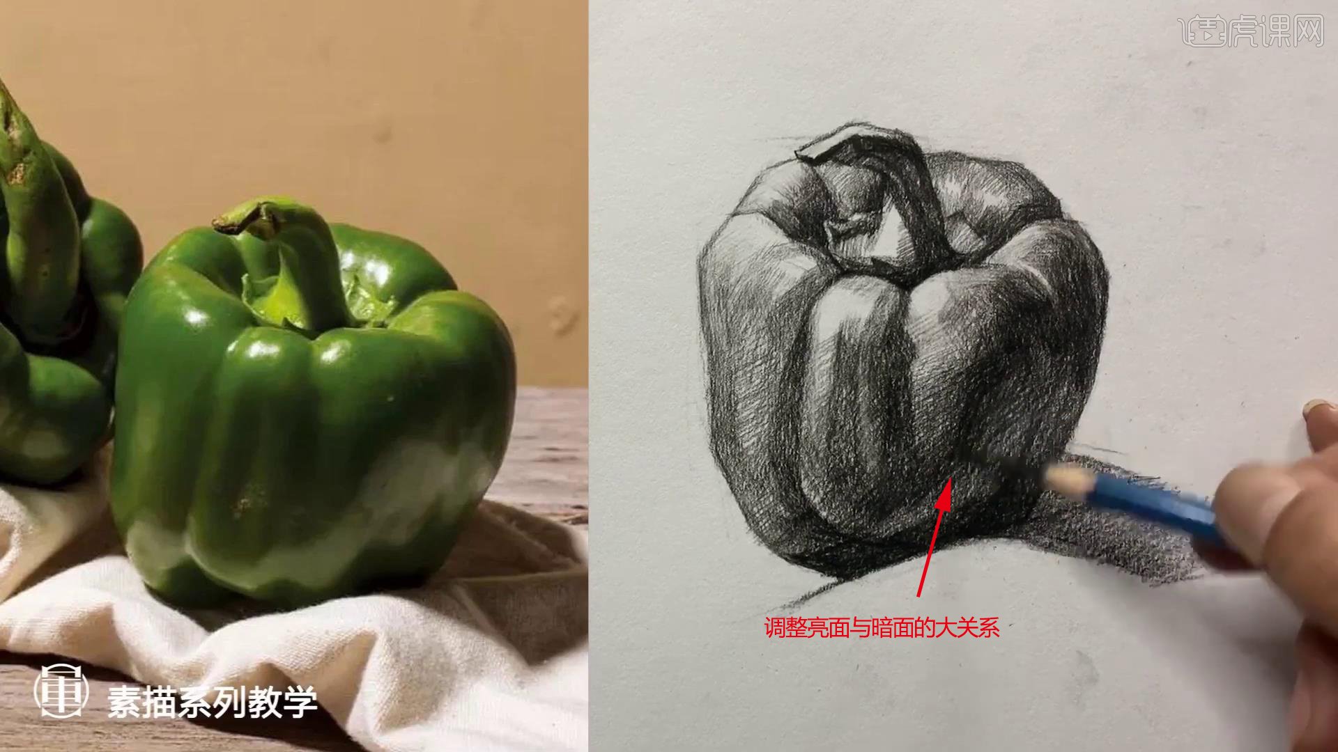 铅笔素描静物系列课青椒图文教程