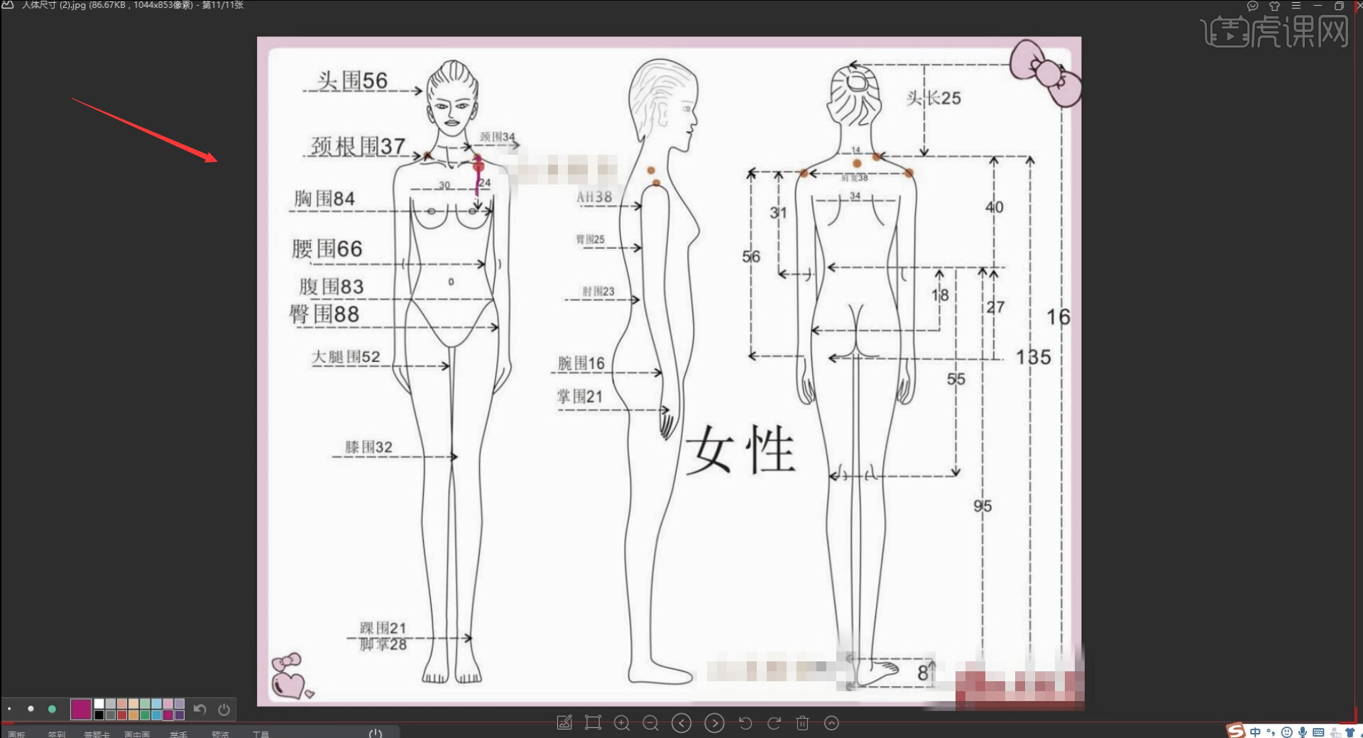 选中平行线工具,框选上平线,根据人体数据,分别绘制相对应的三围线和