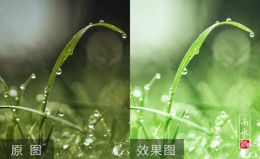 ps-雨水节气后期色调恢复 - 摄影艺术教程_ps(cc2017)