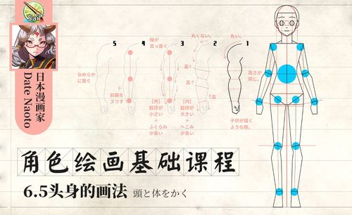 sai-人物6.5头身的基础画法