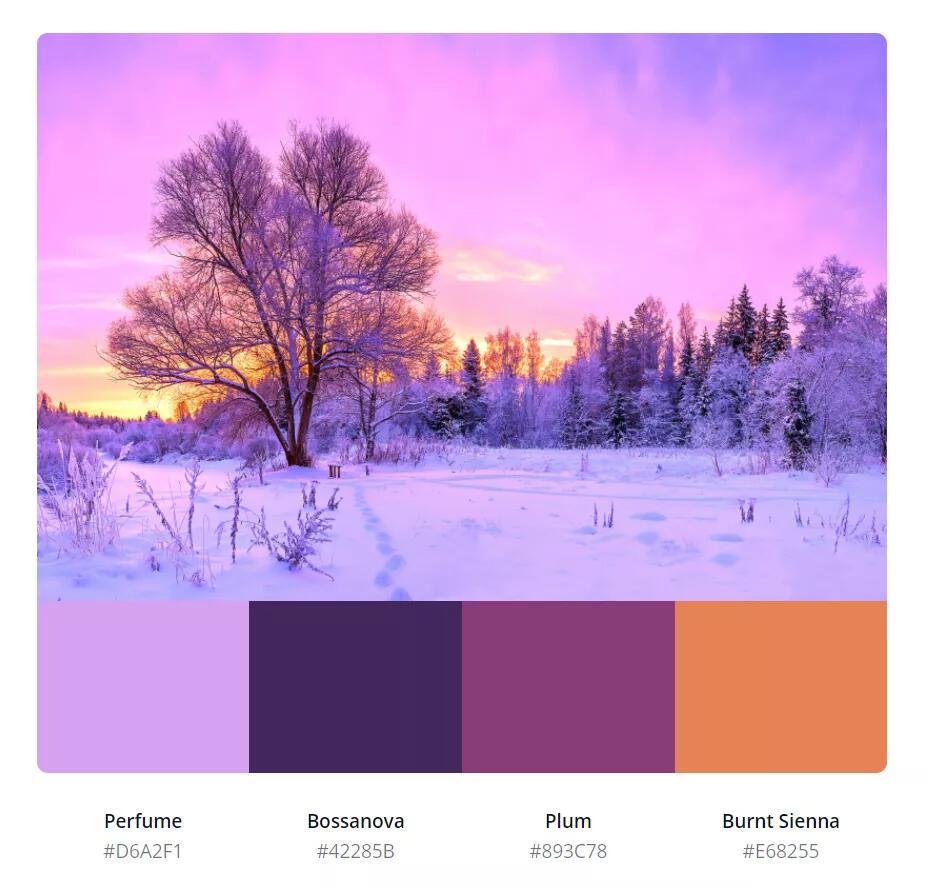 浪漫的冬天该是什么颜色?