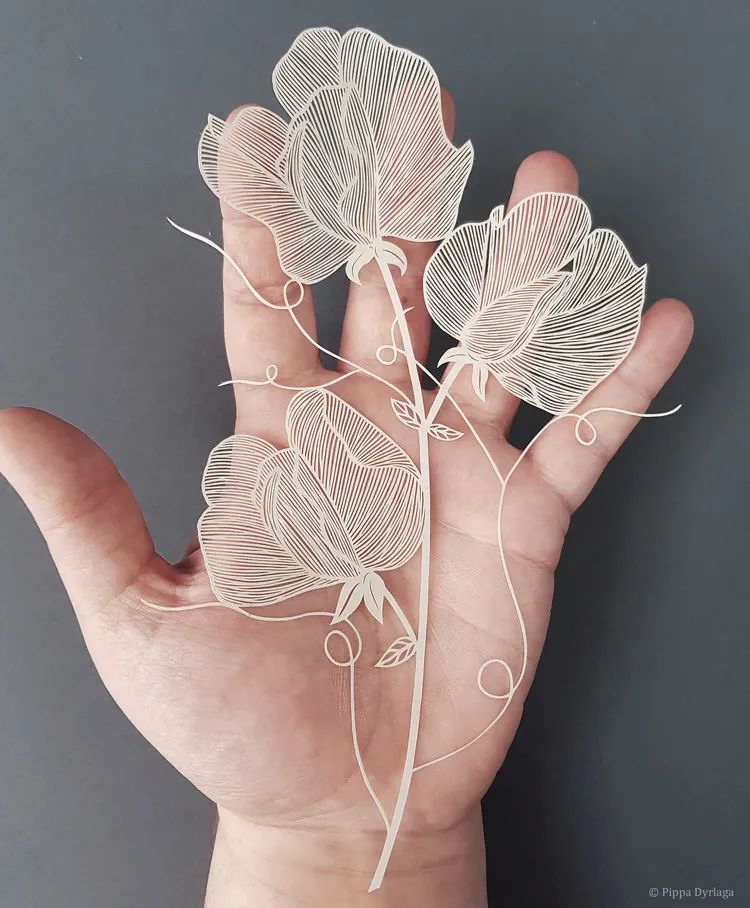薄如蝉翼的纸艺术英国艺术家pippadyrlaga以自然为灵感创作绝美纸雕