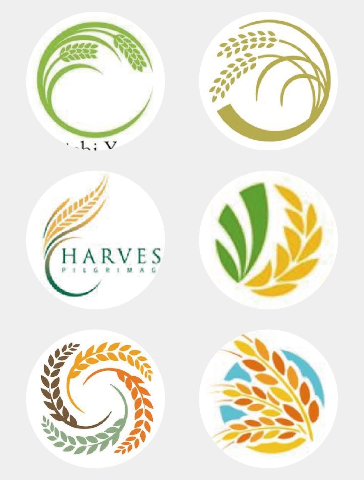如何3步做出农产品LOGO,并让一般人觉得吃不起?-虎课网