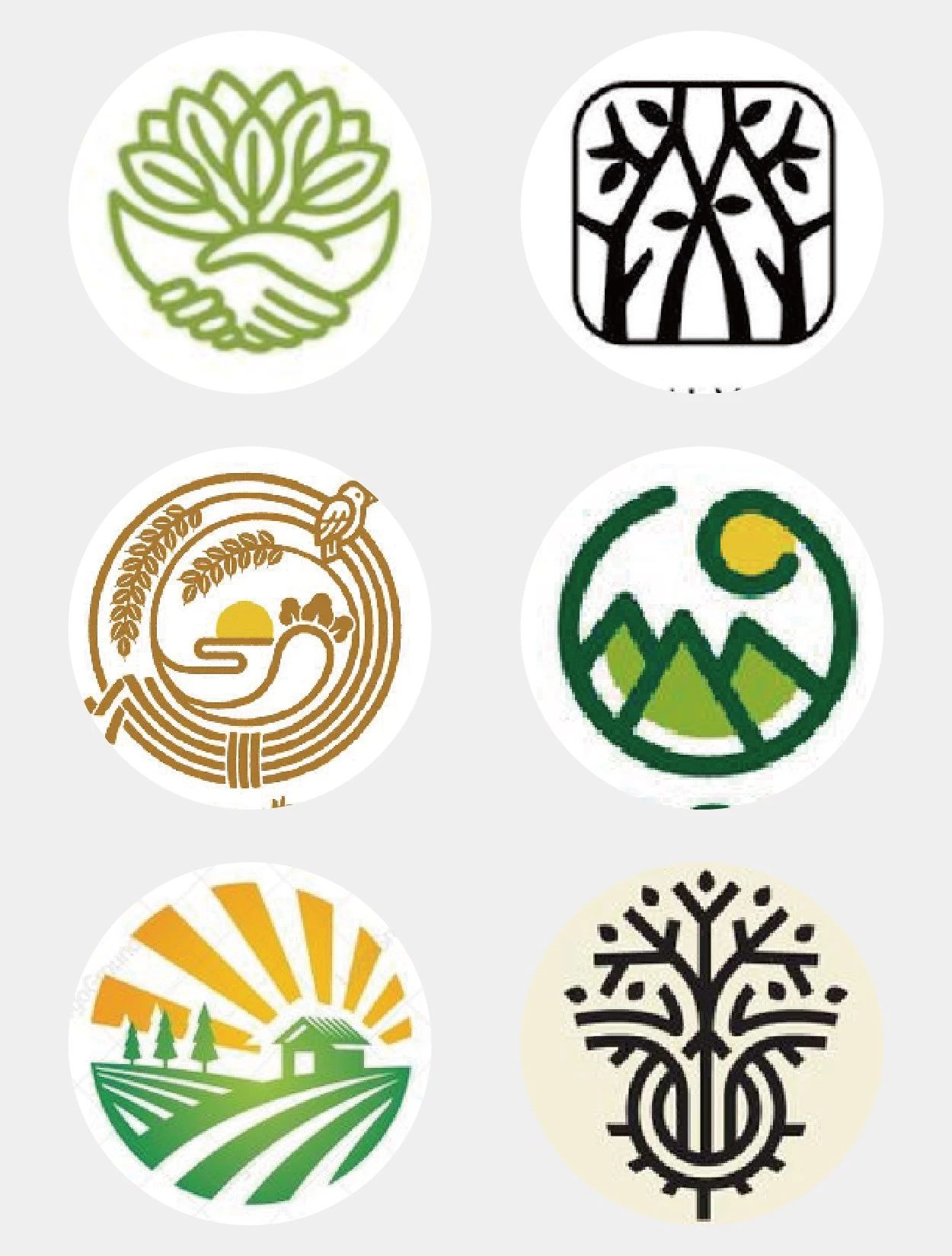 如何3步做出农产品LOGO,并让一般人觉得吃不起?-虎课网