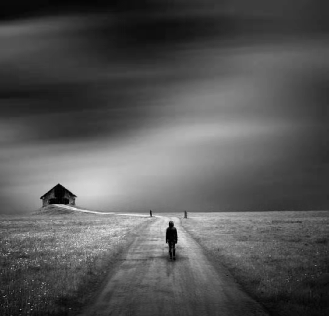 遠山的课程收藏 虎课网