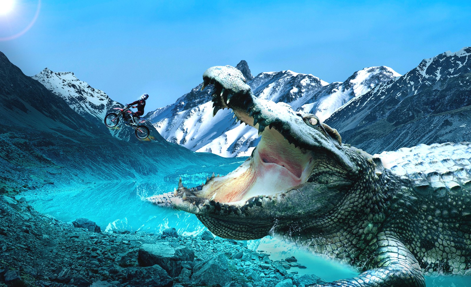 [图片]-来自pursue的动态 - 虎课网