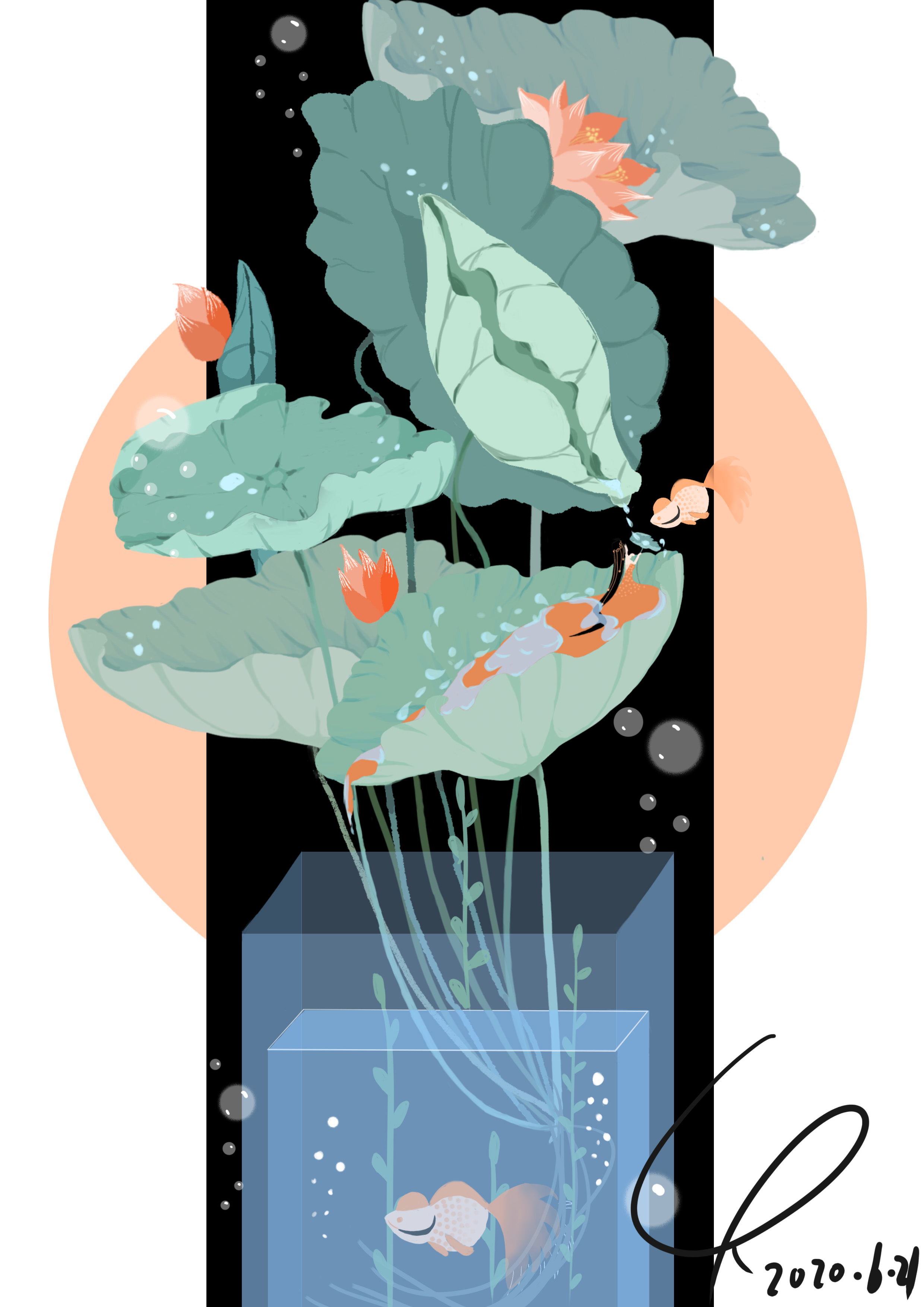 ps-板绘-荷花游鱼