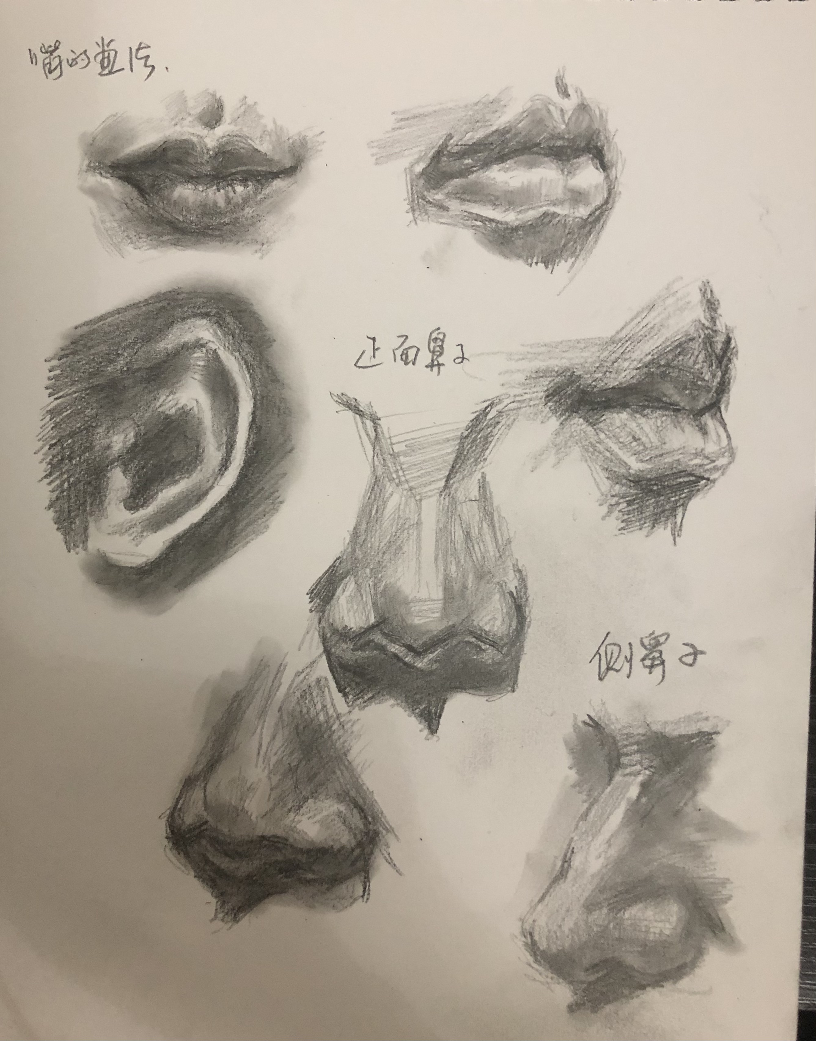 嘴侧面素描图片