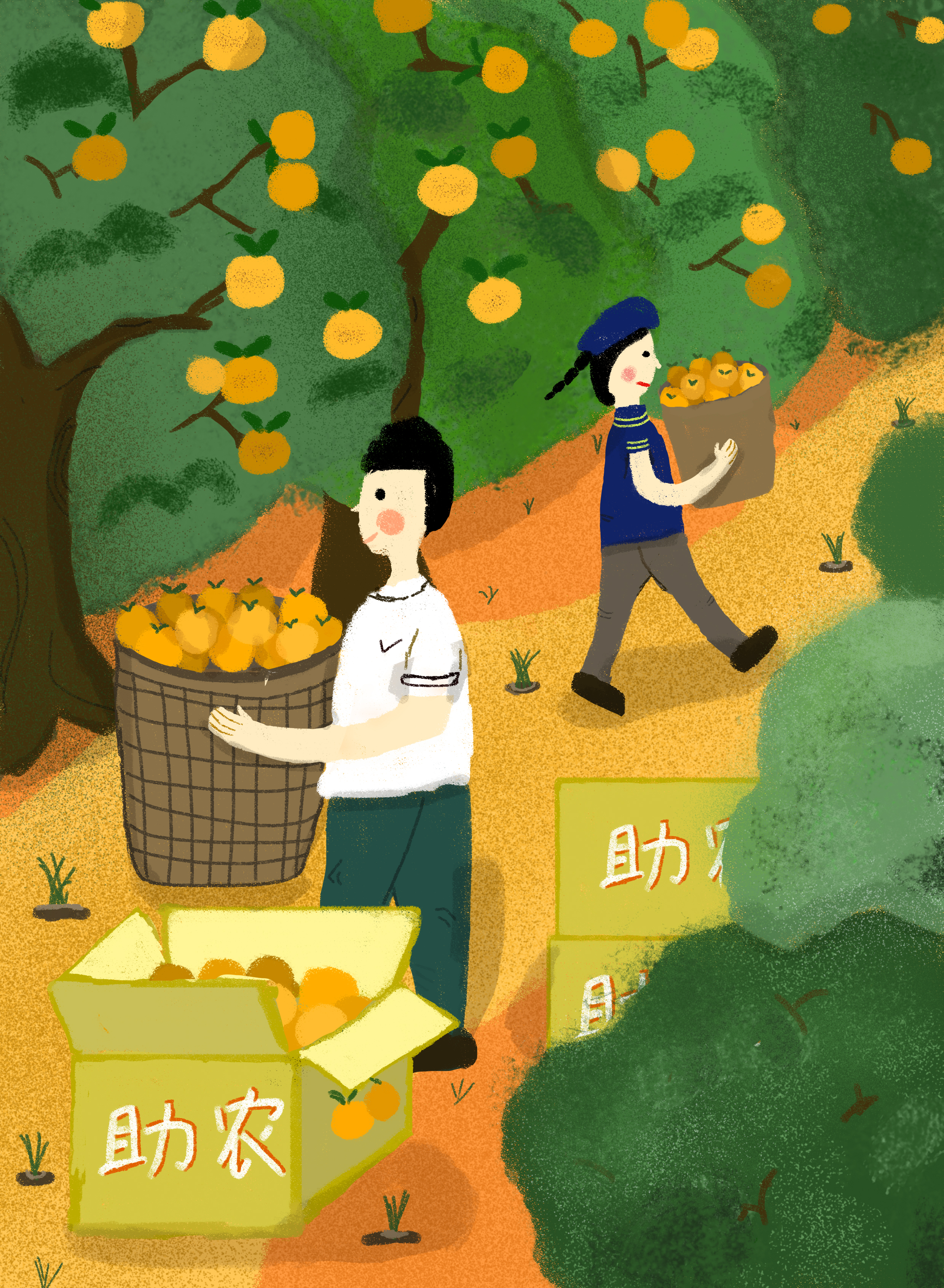 ps-板绘-水果丰收助农活动肌理插画来源于此课程讲师:芝士多不多2021