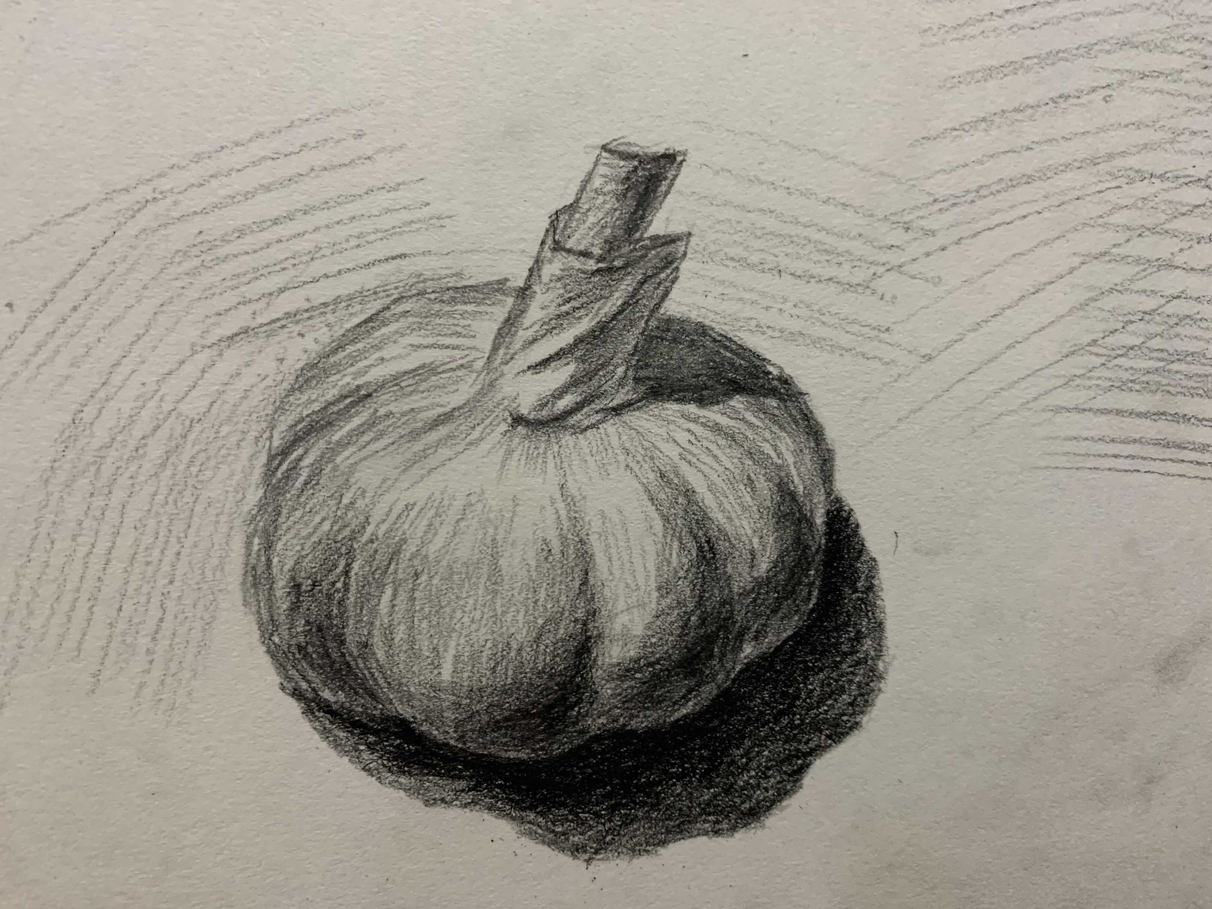 铅笔-素描静物系列课-大蒜的结构与明暗来源于此课程讲师:大军2021-07