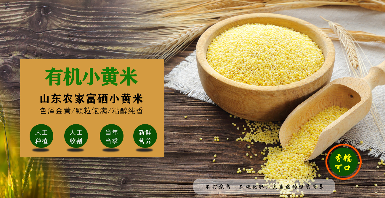 今天特意做了一张小黄米的banner广告图,请老师-来自猫咪听雨的动态