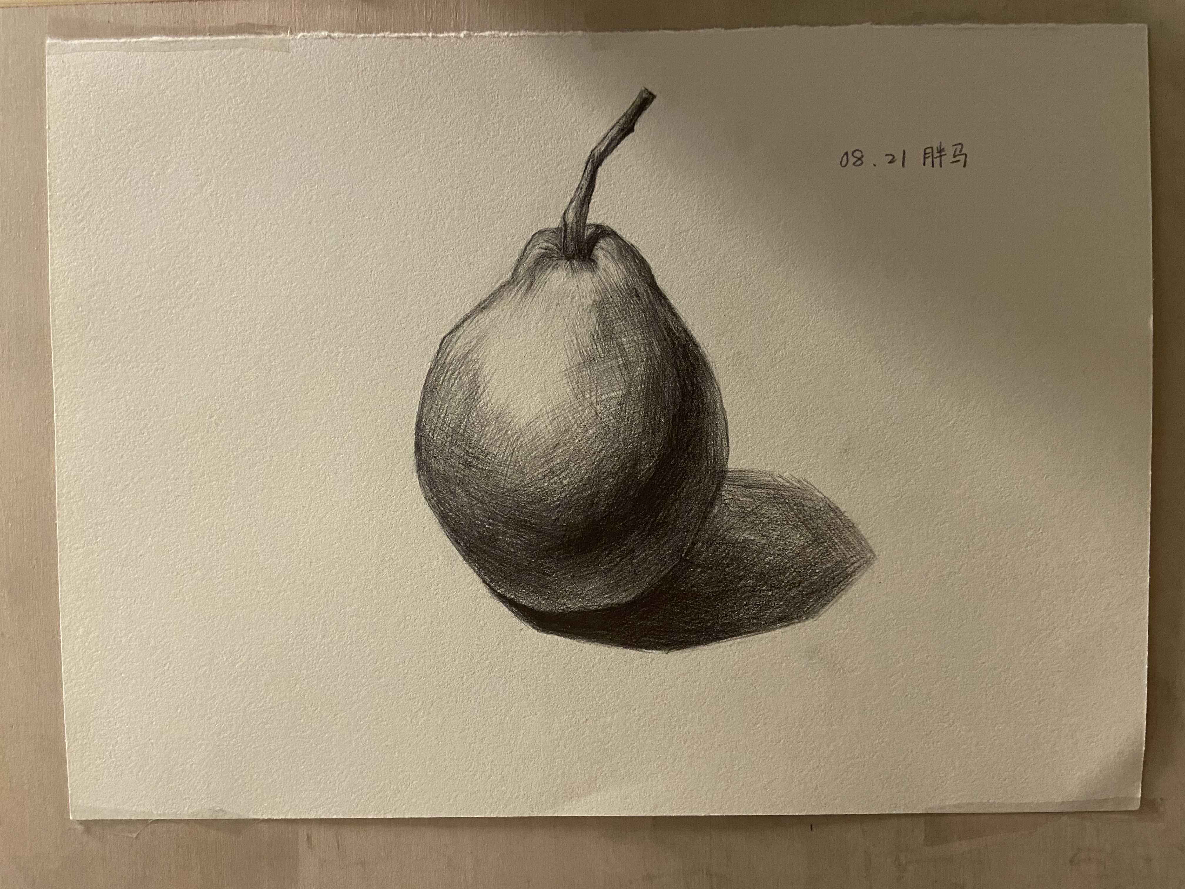 铅笔-素描静物单体系列教程-鸭梨来源于此课程讲师:大军2021-08-21 01