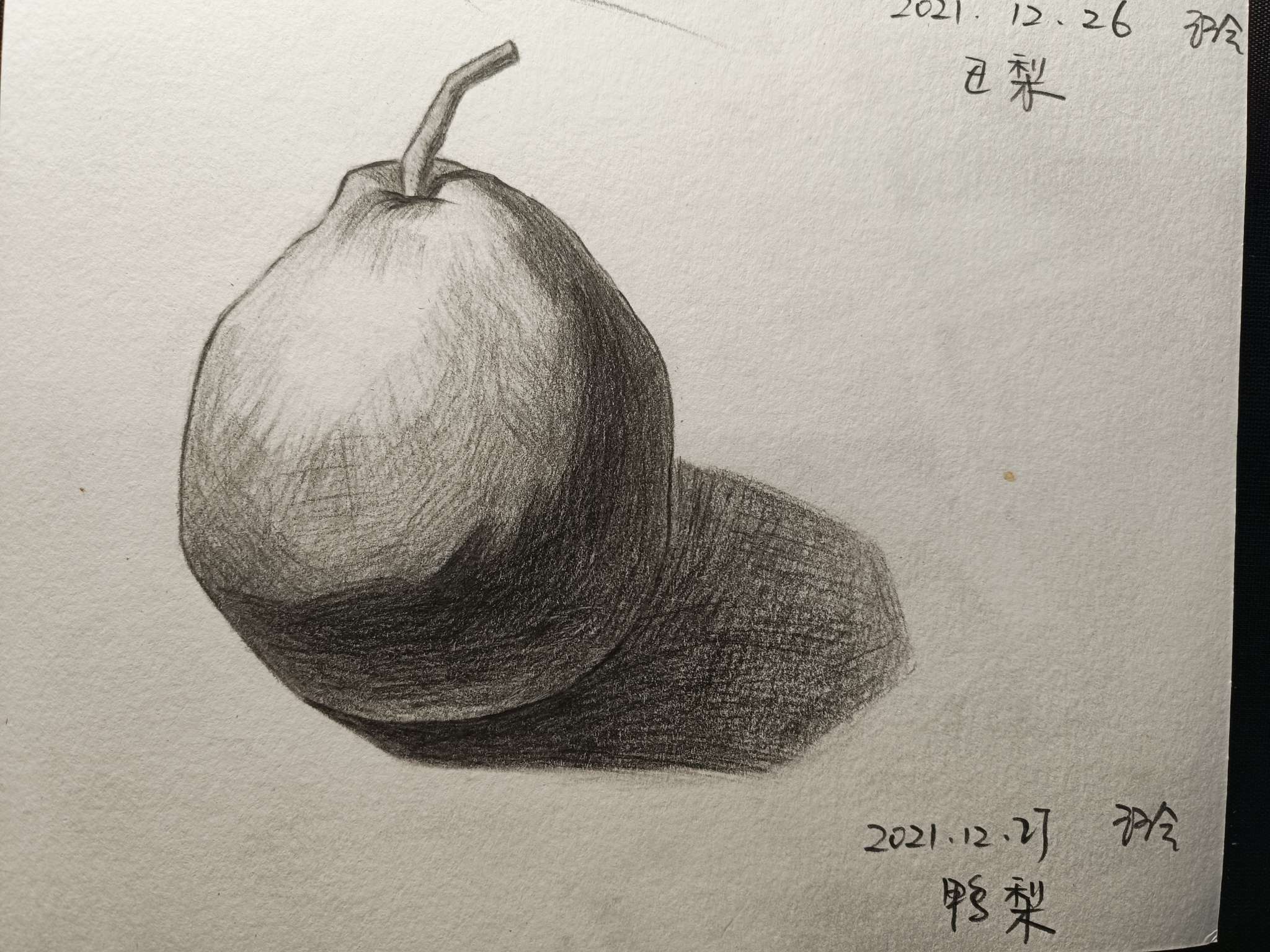 铅笔-素描静物单体系列教程-鸭梨来源于此课程讲师:大军2021-12-27 20