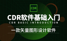 CDR(2020)
