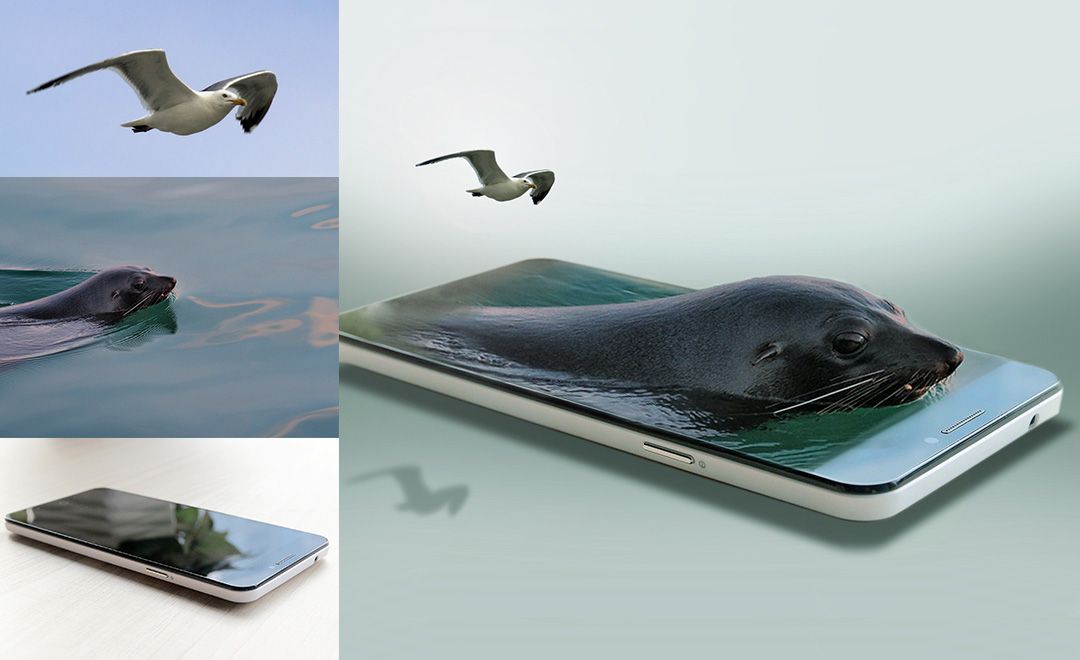 PS-手机里游泳的海豹