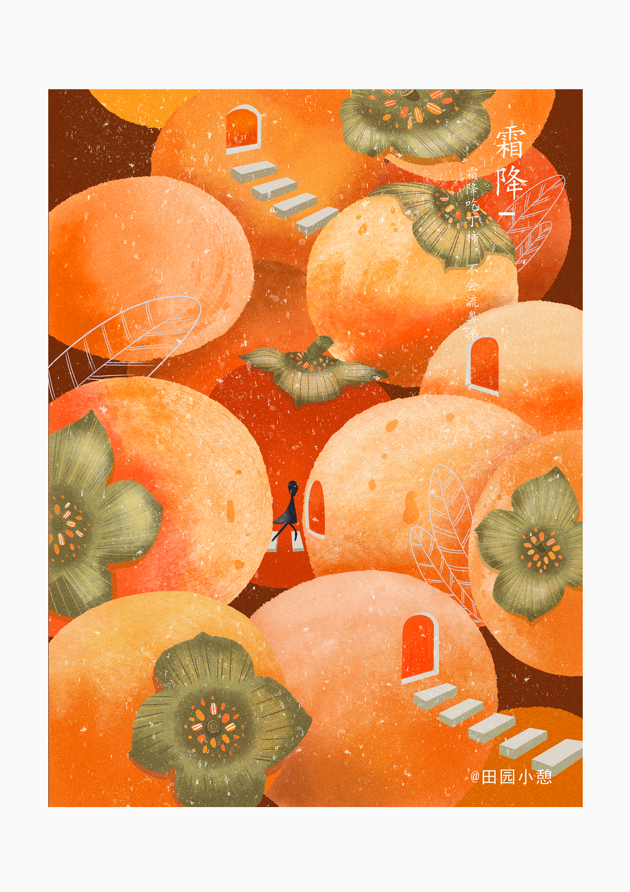 二十四节气霜降