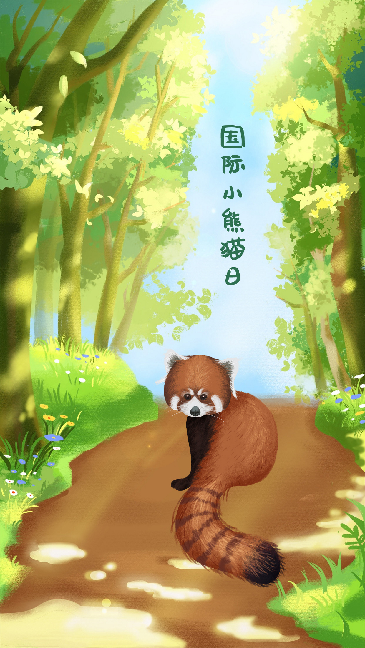 国际小熊猫日手机海报设计