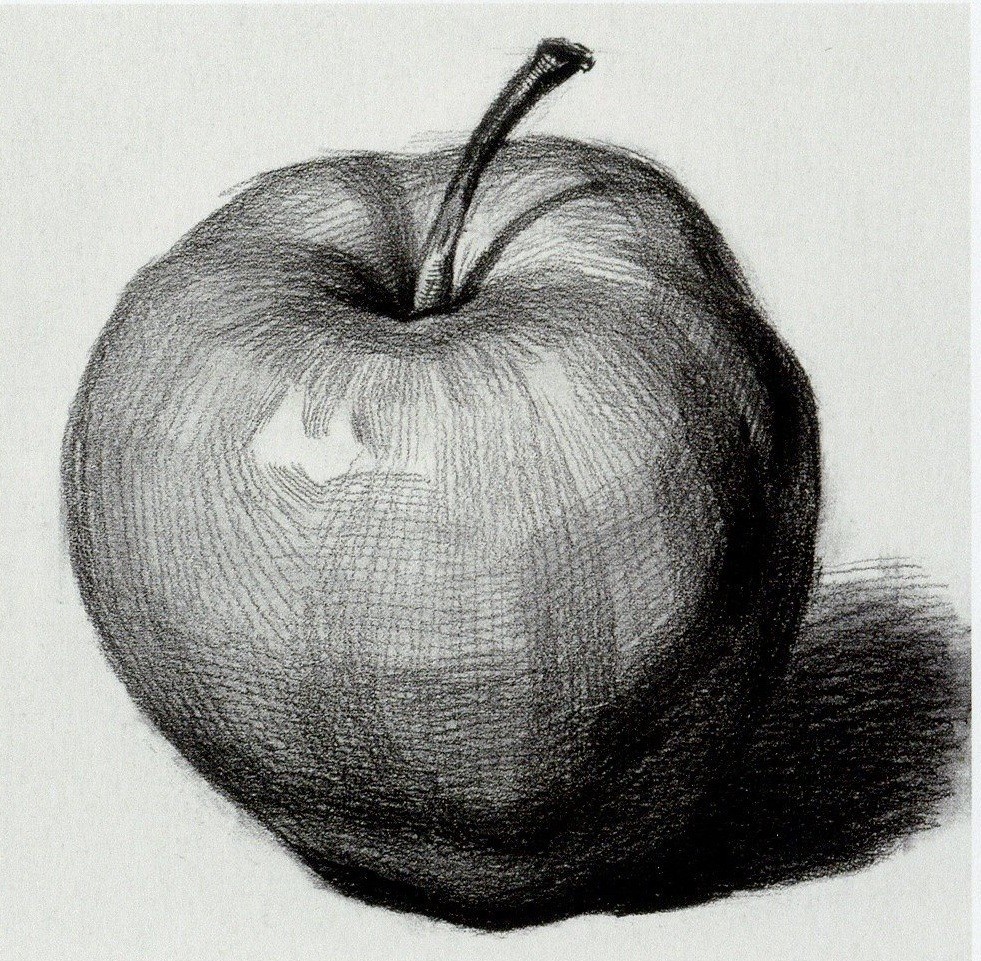 精微素描苹果图片