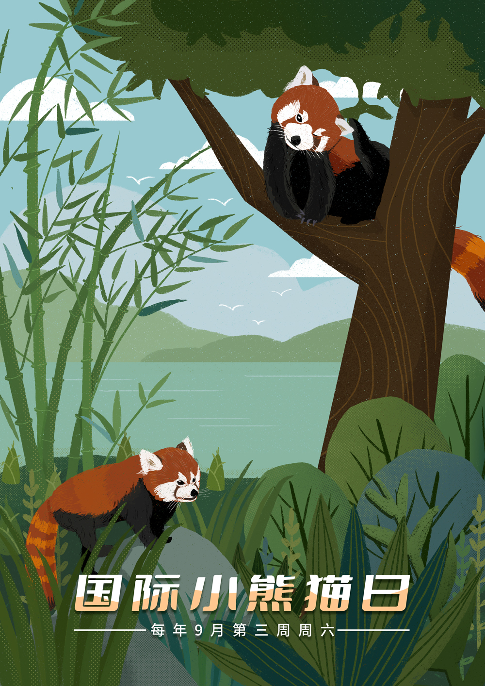 关爱小熊猫从我做起