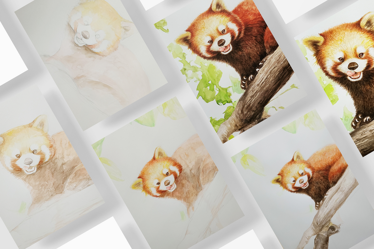 水彩手绘小熊猫