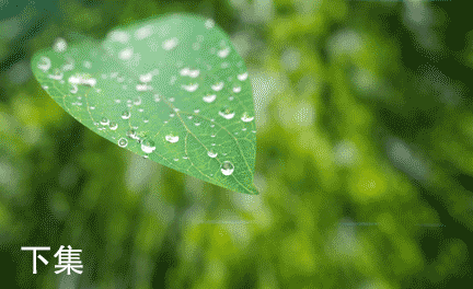 432_264gif 动态图 动图