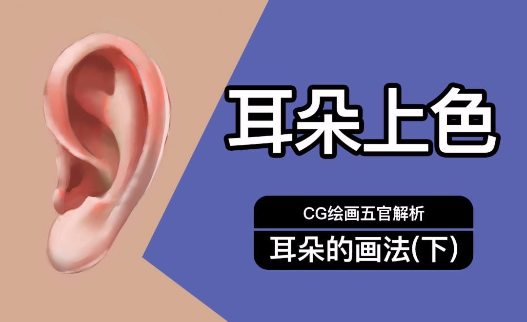 PS-耳朵上色-CG五官解析