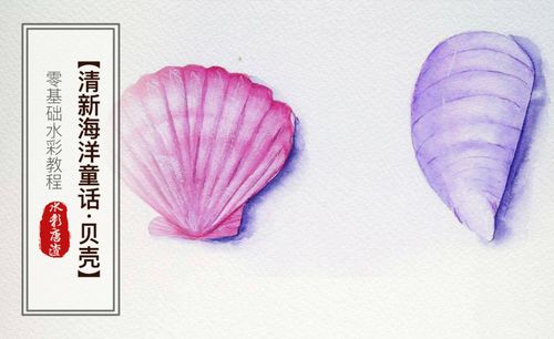 水彩-贝壳-零基础也能学的手绘插画
