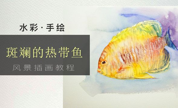 水彩-斑斓热带鱼