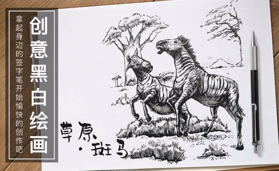 针管笔-手绘插画《草原上的斑马》
