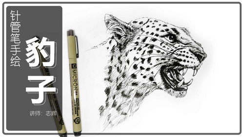  针管笔-猛豹-黑白动物插图