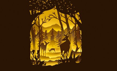 ps剪影教程视频大全_免费ps剪影视频教程全集