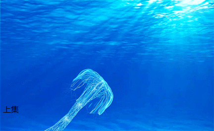 c4d水母游动动画上