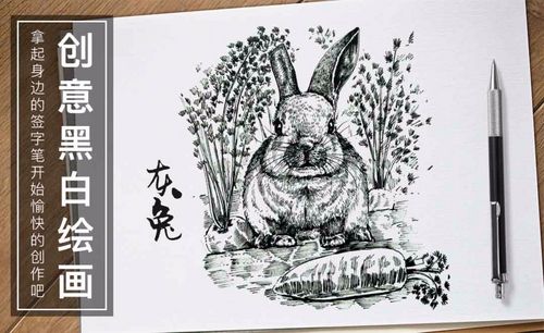 针管笔-灰兔-黑白插图