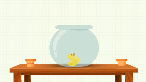 ae小黄鸭游泳记mg小清新动效