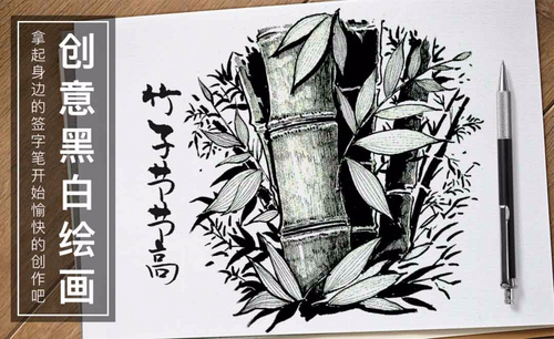 针管笔手绘-竹子节节高-黑白插图