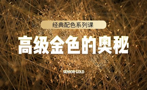 高级金配色的奥秘-色彩课