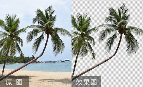 ps套索教程视频大全_免费ps套索视频教程全集