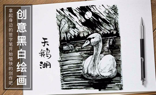针管笔手绘-天鹅湖-黑白插图
