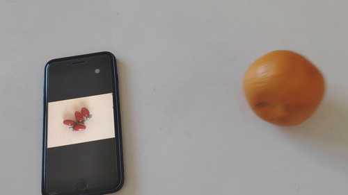 AE-手机里面划出水果-抖音同款特效