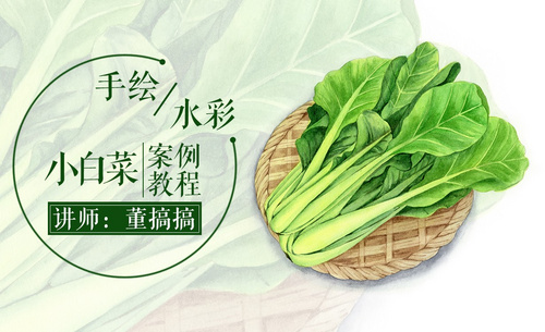 【减压手绘美食】水彩-健康蔬菜小白菜