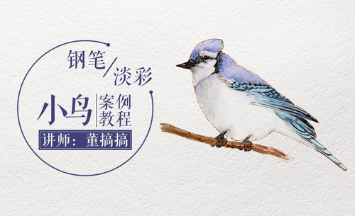 钢笔淡彩-手绘小鸟教程视频