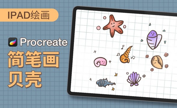 Procreate-简笔画-贝壳-iPad绘画