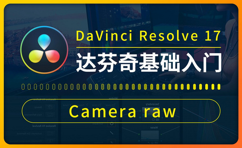 达芬奇-Camera raw-LOG视频有效去灰和加强色彩