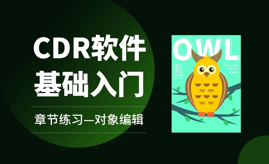 CDR-对象编辑-章节练习